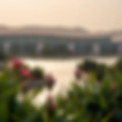 Serene view of Love Lake surrounded by greenery