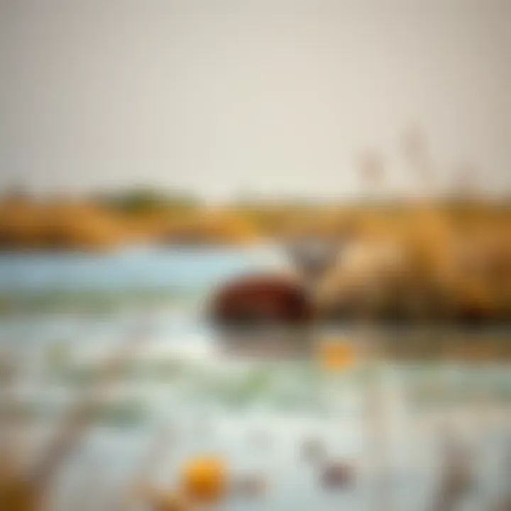 Wildlife thriving around Love Lake ecosystem