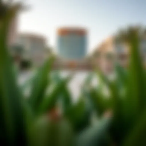 Stunning facade of the Mubarak Al Mansoori Building showcasing modern architecture