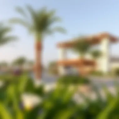 Community amenities at Murooj Al Furjan