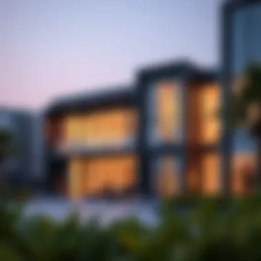 Professional discussing contract management strategies