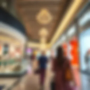 Shopping Experience at Dubai Outlet Mall Shopping at Dubai Outlet Mall