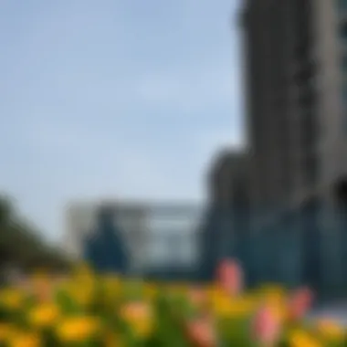 Neighborhood amenities enhancing lifestyle in Sports City