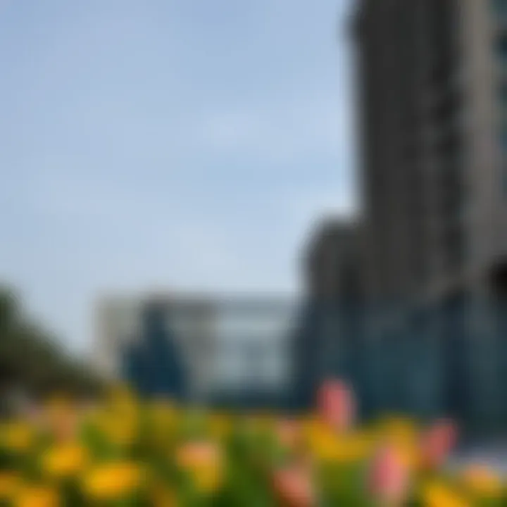 Neighborhood amenities enhancing lifestyle in Sports City