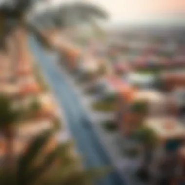 Overview of the surrounding community of Samana Barari Views