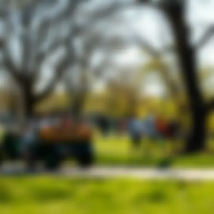 Community members enjoying leisure activities in the park's vibrant open spaces