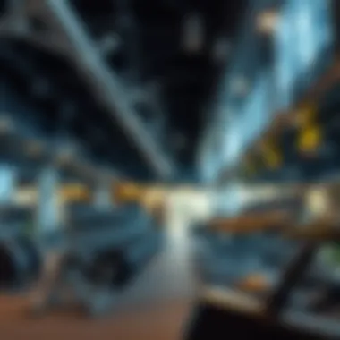 Types of Gym Memberships A visual showing various types of gym memberships available.