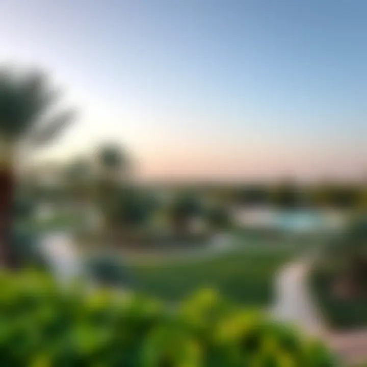 A panoramic view of Rashidiya Park showcasing its lush greenery and recreational spaces.