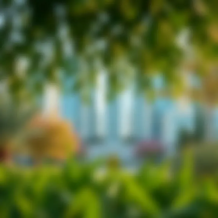 Seasonal changes reflected in the greenery of International City